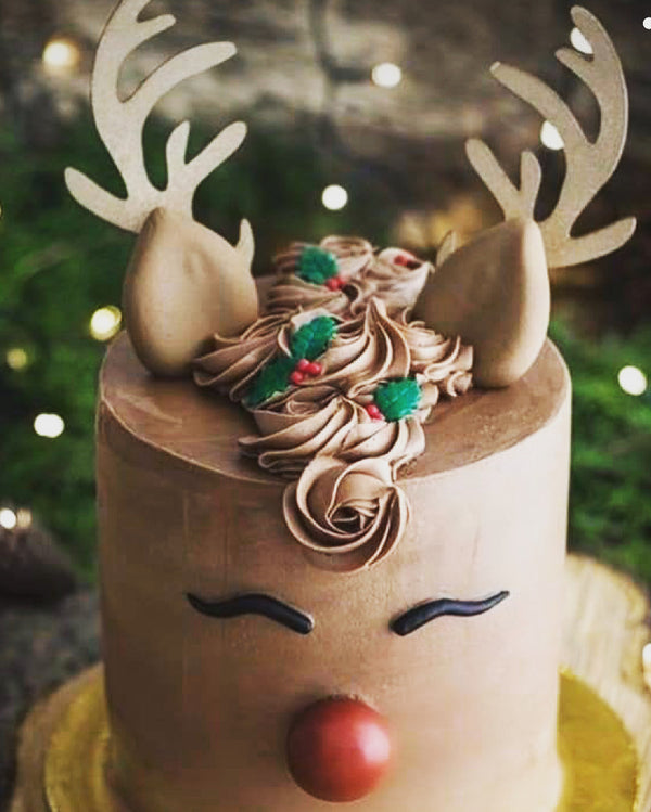 Rudy the red nosed Christmas cake